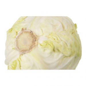 خرید اینترنتی کلم سفید