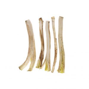 خرید اینترنتی کنگر تازه