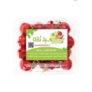 خرید اینترنتی گوجه گیلاسی