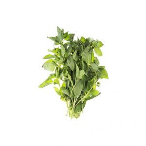 خرید اینترنتی ریحان سبز دسته شده آماده شستشو