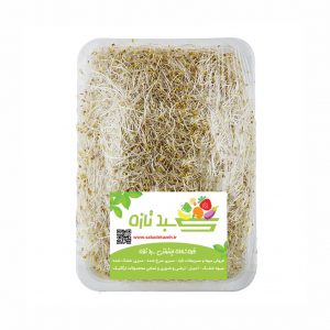 خرید اینترنتی جوانه شبدر