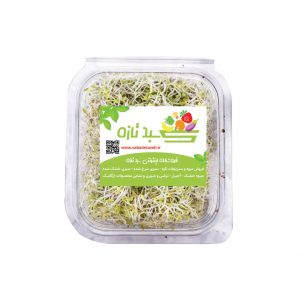 خرید اینترنتی جوانه یونجه