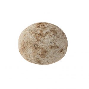 خرید اینترنتی سیب چوبی