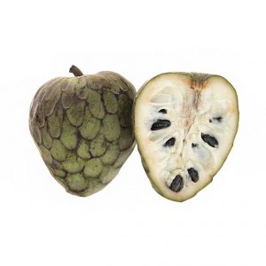 خرید اینترنتی کاستارداپل