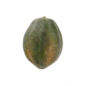 خرید اینترنتی پاپایا