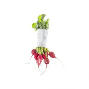 خرید اینترنتی تربچه دسته شده