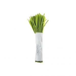 خرید اینترنتی تره دسته شده