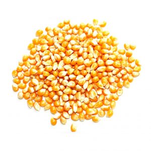 خرید اینترنتی ذرت خشک