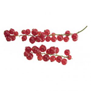 خرید اینترنتی ردکارنت