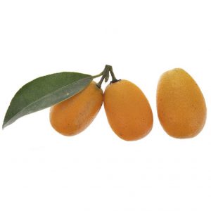 خرید اینترنتی کامکوات