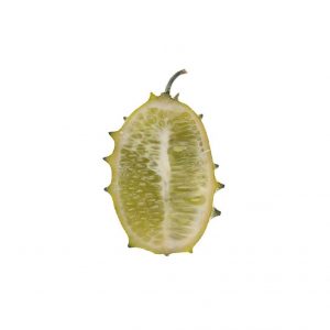 خرید اینترنتی کیوانو