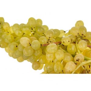 خرید اینترنتی انگور سفید
