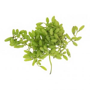 خرید اینترنتی غوره
