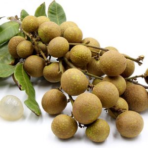 خرید اینترنتی لونگان