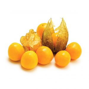 خرید اینترنتی فیسالیس