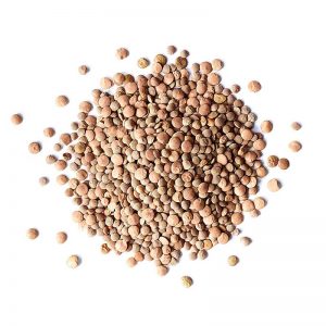 خرید اینترنتی عدس ریز