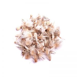 خرید اینترنتی دمنوش گیاهی قاصدک
