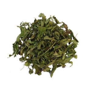 دمنوش گیاهی نعنا