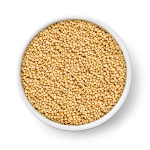 خرید اینترنتی دانه خردل