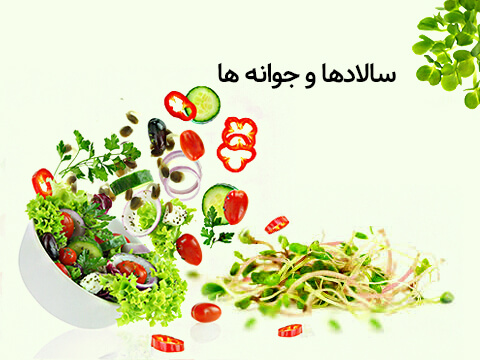 دسته بندی سالادها و جوانه ها